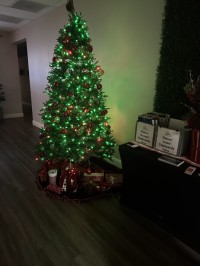 Volunteer Christmas Party 2025 Welcome Christmas Tree